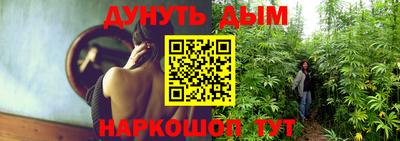 шишки Северобайкальск
