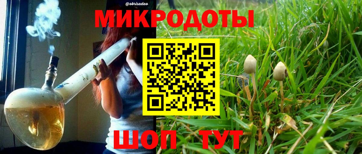 Скопин  Галлюциногенные грибы мухоморы  Вход с VPN  Псилоцибиновые грибы ЛСД 